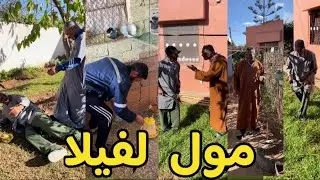 هههه سي لعلاوي رجع روحاني 🤣هكا وايلي