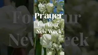 Prayer for your new week