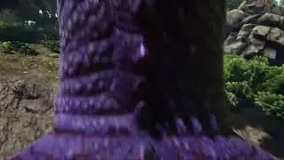 dragon riding in ark