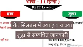 Reet Exam pattern and syllabus 2021 रीट सिलबस में क्या हटा व क्या जुड़ा से सम्बंधित जानकारी