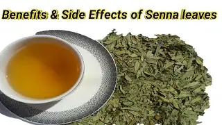 Senna Leaves | Senna Tea | How to prepare Senna Leaves Tea | Sana makki ke fayde