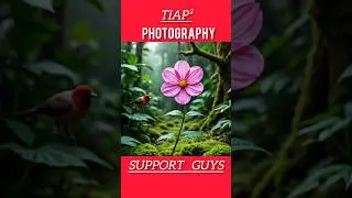 🌱 Hidden Jungle Flower 🌺 | Rare Forest Beauty #shorts #flowers #nature
