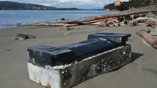 VAP Action on Marine Navigation and Environmental Hazards