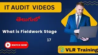 What is Fieldwork Stage  ఐటీ ఆడిట్&zwnj;లో ఫీల్డ్&zwnj;వర్క్&zwnj; Stage  Example 17