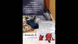 Мем 95 #хочуврек #мем