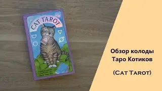 Обзор колоды Таро Котиков | Cat Tarot Book and Card Set