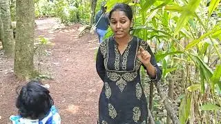 Exploring Sahakari Spice Farm: A Journey through Goa's Rich Spice Heritage