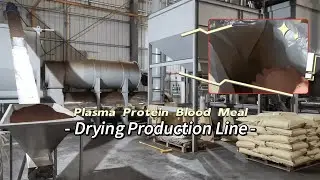 Blood Meal Drying Production Line
