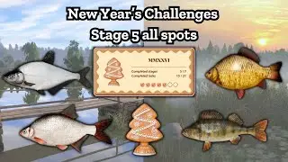 Stage 5 New year challenge 2026 all spots | Nanstein | Russian fishing 4 | #rf4 #russianfishing4