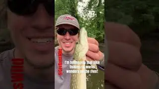 How to pike fish part 2! Pike fishing using a simple swim bait will catch you a ton of pike  #shorts