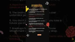 Psychology Facts: Why Chasing Kills Attraction 💔