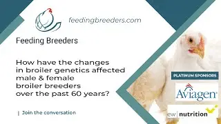How have changes in broiler genetics affected male & female broiler breeders over the past 60 years?