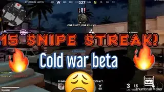 Tundra SNIPER 15 KILLSTREAK Best Cold War Quick Scope Class (Black Ops 2020 Beta)