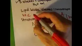 UNIT 1-Metabolism Basics-Biochem II Cleveland Chiropractic College