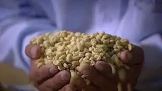 Кофе, какао и справедливая торговля в Перу - жизнь