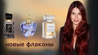 Первые новинки в шкафу