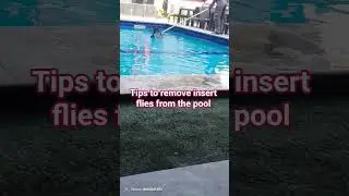 learn tips of remove insert out of pool #trending #clean #cleaning #viral #tips #howto #subscribe