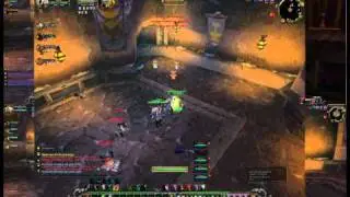 Mutliboxing Druids level 60 twinks.