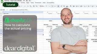 How to calculate the actual TCO of Shopify Plus in the Benelux [Including payment fees]