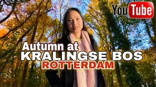 KRALINGSE BOS | BEAUTIFUL FOREST WITHIN THE CITY OF ROTTERDAM | THE NETHERLANDS