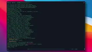 Node Guide Pipe Network guide (Bash script)  | Very fast installation