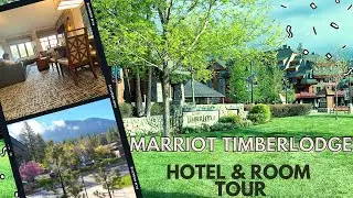 Marriott Timber Lodge Hotel & Room Review | South Lake Tahoe | Telugu Travel | Telugu USA Vlog 25