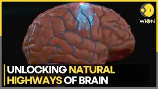 This brain-computer technology offer hope for paralysis victims | World News | WION