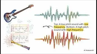 Sound - Cracking the Sonic Code - Physics Chapter 7, ICSE Class 8