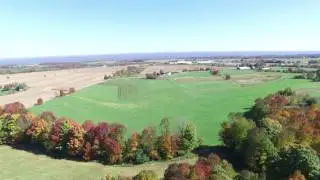 Lewis County NY Free Stall Operation