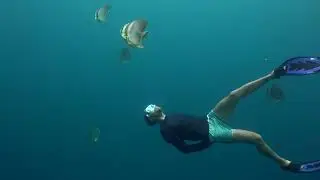 Full Moon Dives at Sail Rock 16 May 2022 Underwater video