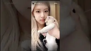 Blackpink Insta story update 2021-02-25 (Ros&eacute;, Jisoo, Lisa)