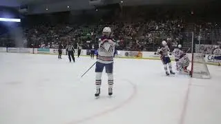 Bear Stays Busy