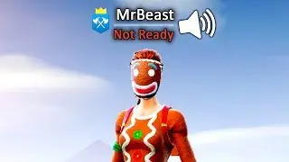 I Used a Voice Changer as MrBeast on Fortnite...