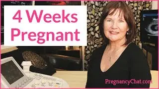 &laquo;4 недели беременности&raquo; от PregnancyChat.com @PregChat