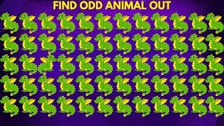 Find Odd Animal Out Quiz | Picture Quiz | Identification Test | Test Your Animal Knowledge