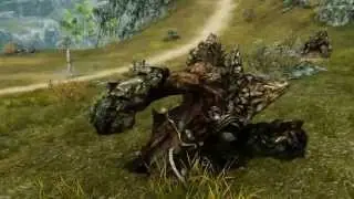 ArcheAge Combat Gameplay