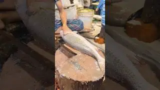 Poha Fish Cutting - Clean & Sharp Fillet Process