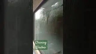 Cleaning Glass window #asmr #cleaning #glass #trending #cats&dreams