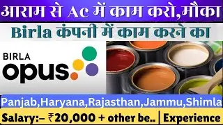 Birla में काम करो | Birla Opus Paints Jobs | Customer Sales Executive Jobs | Jobs In Aditya Birla
