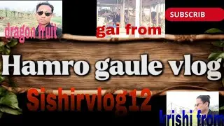 Hamro gaule vlog ❤️✅💯 #sishirvlog12 #viral #nepalivlogger #dailyvlog #happy #emotional #