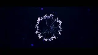 SHOCKWAVE INTRO NO TEXT | FREE DOWNLOAD (3)