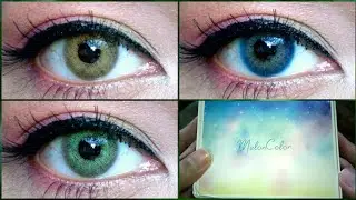 Wild Cat Brown, Wild Cat Blue and Wild Cat Green Contact Lens Review | For Dark & Light Eyes