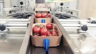 FW750 flow pack machine 9