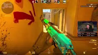 Szybkie 38 Killi na primierku meczyk z live
