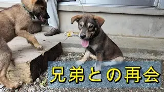 兄弟との再会　＃68　今日は色々な所にドライブだ♪