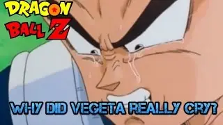 Why did Vegeta REALLY cry? In Depth Character Analysis