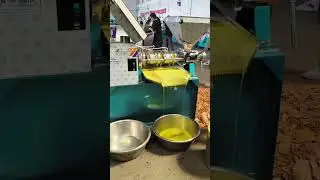 Cotton seed oil press, walnut oil press, rapeseed oil press