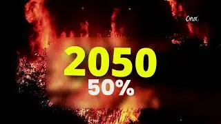 California's Burning: The Wildfire Crisis Explained | Bangla