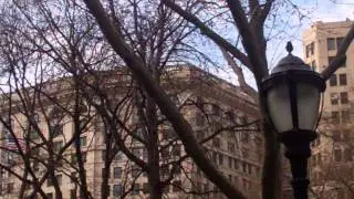 The Barren Trees