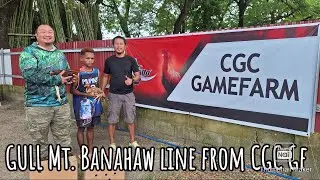 GULL Mt. Banahaw line ng CGC Gf